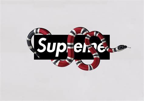 gucci snake supreme